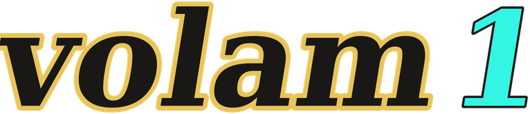 volam1 logo